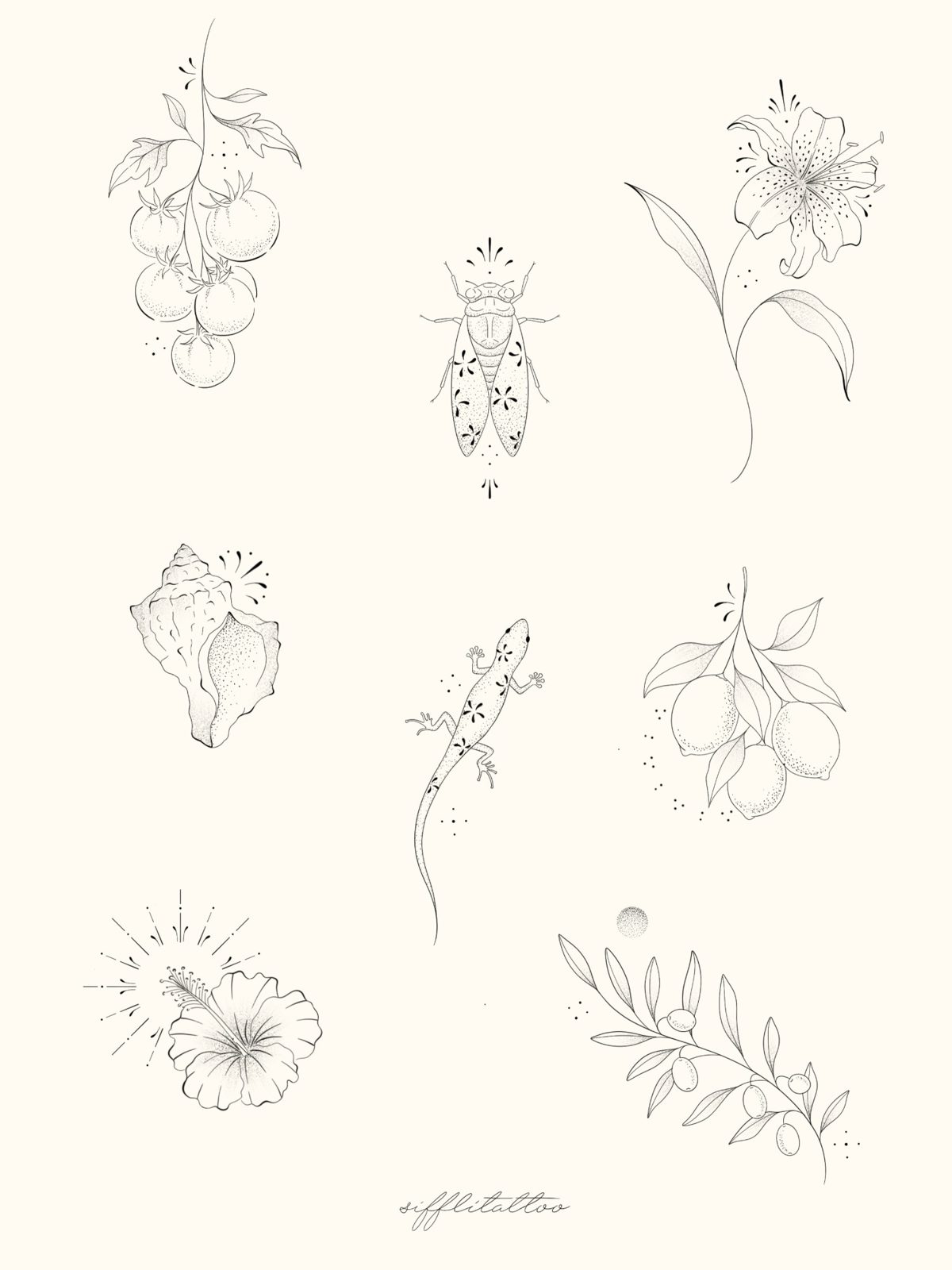 Planche de dessins : tomates cerises, cigale, lys, coquillage, lézard, citrons, hibiscus, olivier