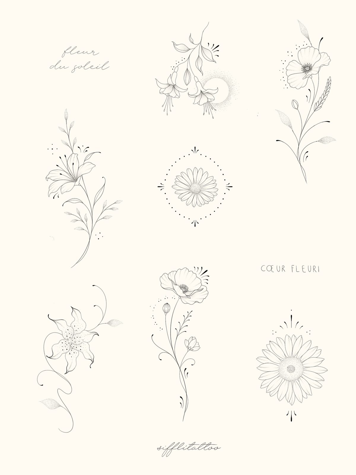 Planche de fleurs : lys, coquelicots, marguerites, fuchsias